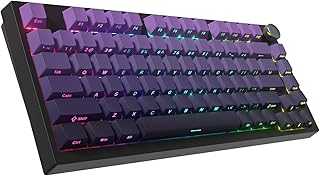 WK75 75% Wireless Gaming Mechanical Keyboard,BT5.0/2.4GHz/USB-C, Hot Swappable Pre-lubed Custom Linear Switches,Gasket Structure,RGB Backlit Keyboard for PC/Laptop/Xbox/PS4/PS5 (Purple)