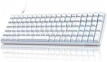 DK98SE Gaming Keyboard,98 Keys Mechanica Keyboard with Linear Red Switches,USB-C Cable for PC Windows Gamers and Typists,White