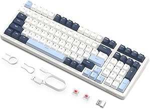 K8 Wireless Mechanical Keyboard, Trip-Mode BT5.0/2.4G/Wired Gaming Keyboard 100 Keys Hot Swappable Red Switches Gasket RGB Keyboard with Number Pad for PC Gamers/Mac/Windows