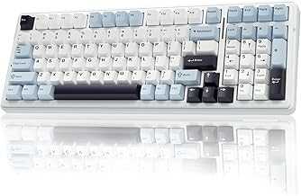 F99 Wireless Mechanical Keyboard, Hot Swappable Custom Keyboard,Pre-lubed Linear Switches,Gasket Structure,RGB Backlit Gaming Keyboard (Blue&White)