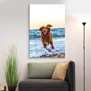 Personalized Pictures to Canvas for Wall, Custom Canvas Prints with Your Photos for Pet/Animal, Framed 10x8 inches