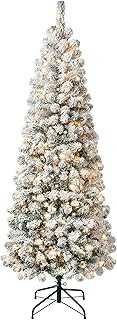 National Tree Company First Traditions Pre-Lit Acacia Flocked Tree Medium Christmas Tree, Clear Incandescent Lights, Plug in, 6 ft